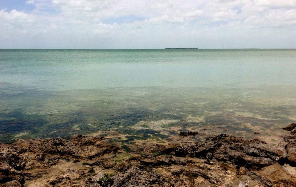 Our early retirement view in Ambergris Caye, Belize