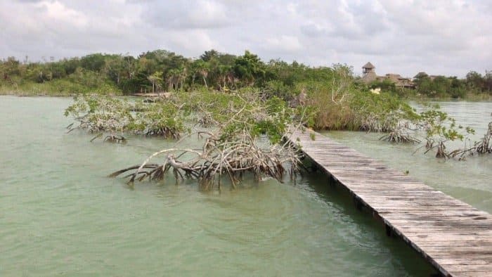 a dock available for use at orchid bay bay resort outside corozal belize