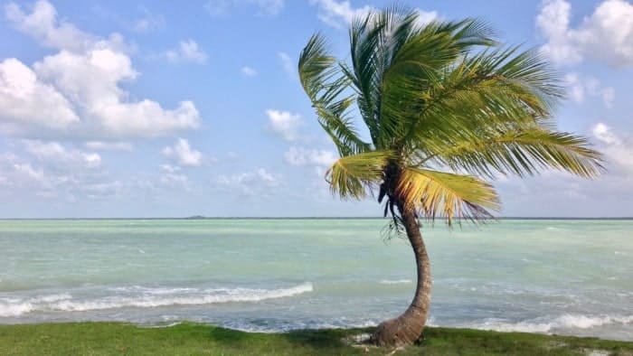 The milk bottle blue water in Corozal Belize