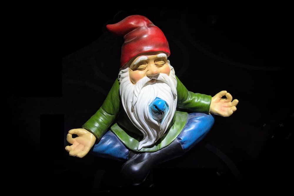 I wonder if any Gnomes teach Blogging Courses