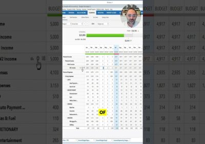 YOUTUBE VIDEO: Make Your Quicken Budget Easier to Read